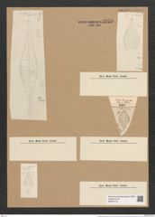 Rhaphoneis amphiceras Ehr. (de-Toni-Nr.: Genus 78, Species 2811) Zeichnungen Sammlung Grunow Nr. 5775 (NHMW-BOT-W0374170)